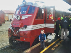 
Daffodil Express with RM31, Carterton, September 2012